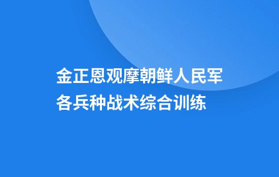 金正恩观摩朝鲜人民军各兵种战术综合训练
