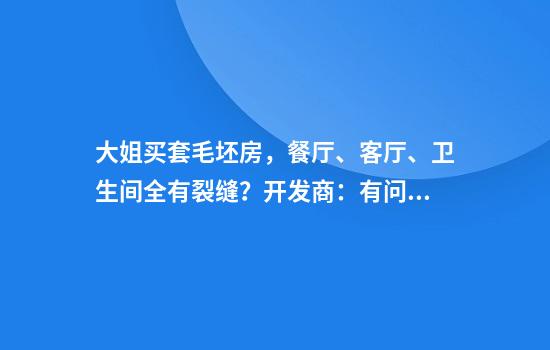 大姐买套毛坯房，餐厅、客厅、卫生间全有裂缝？开发商：有问题去法院