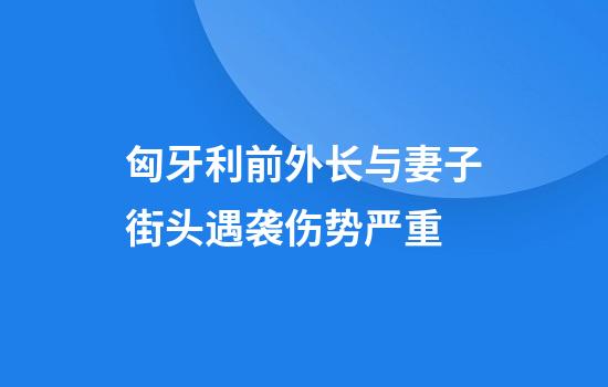 匈牙利前外长与妻子街头遇袭伤势严重