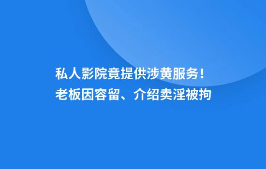 私人影院竟提供涉黄服务！老板因容留、介绍卖淫被拘