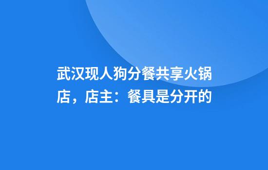 武汉现人狗分餐共享火锅店，店主：餐具是分开的
