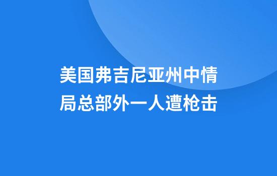 美国弗吉尼亚州中情局总部外一人遭枪击