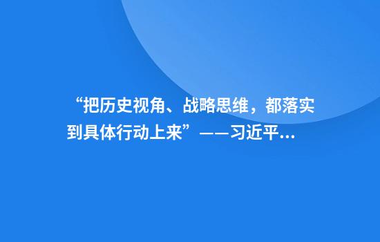 “把历史视角、战略思维，都落实到具体行动上来”——习近平总书记河南考察纪实