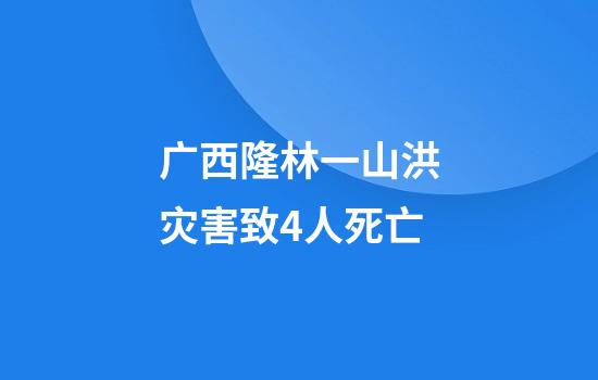 广西隆林一山洪灾害致4人死亡