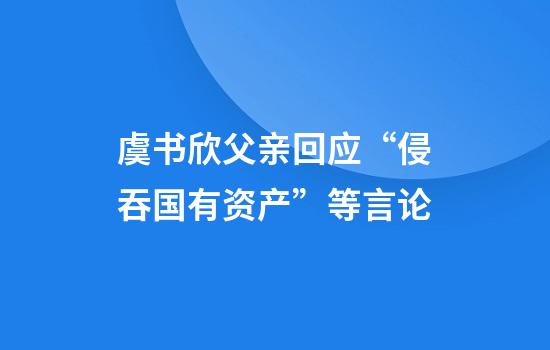 虞书欣父亲回应“侵吞国有资产”等言论