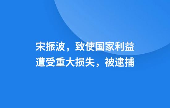 宋振波，致使国家利益遭受重大损失，被逮捕