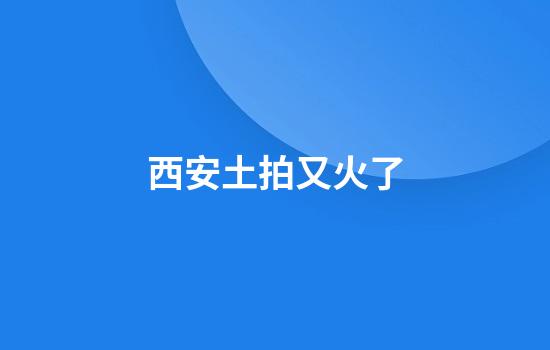 西安土拍又火了