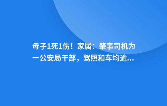 母子1死1伤！家属：肇事司机为一公安局干部，驾照和车均逾期