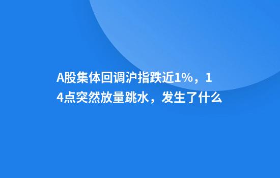 A股集体回调沪指跌近1%，14点突然放量跳水，发生了什么