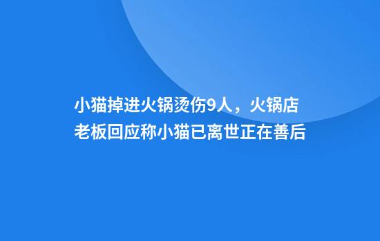 小猫掉进火锅烫伤9人，火锅店老板回应称小猫已离世正在善后