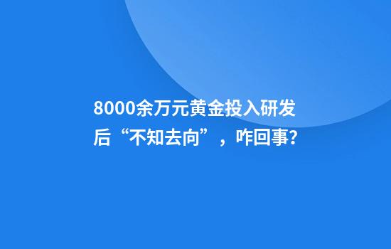 8000余万元黄金投入研发后“不知去向”，咋回事？