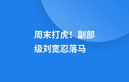 周末打虎！副部级刘宽忍落马
