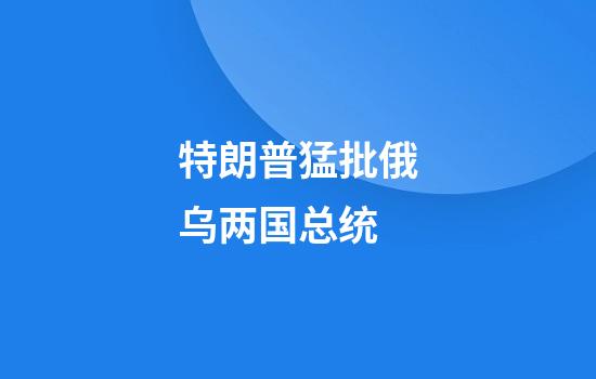 特朗普猛批俄乌两国总统