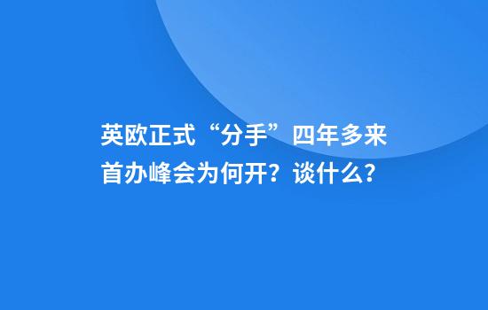 英欧正式“分手”四年多来首办峰会为何开？谈什么？