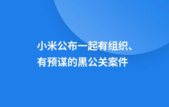 小米公布一起有组织、有预谋的黑公关案件