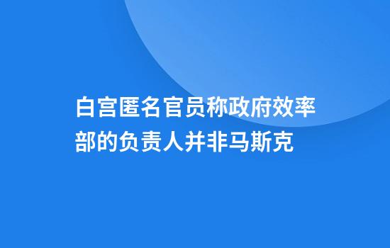 白宫匿名官员称政府效率部的负责人并非马斯克