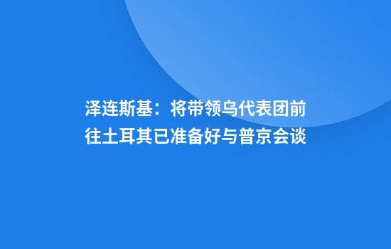 泽连斯基：将带领乌代表团前往土耳其已准备好与普京会谈