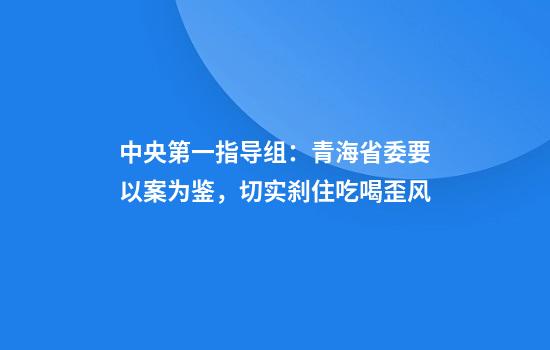 中央第一指导组：青海省委要以案为鉴，切实刹住吃喝歪风