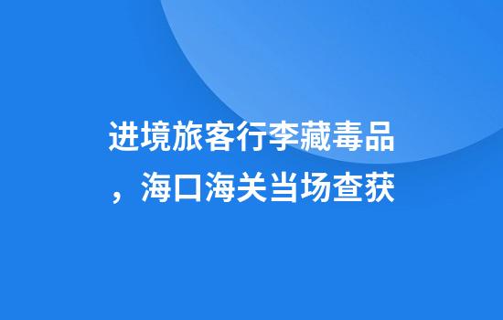 进境旅客行李藏毒品，海口海关当场查获