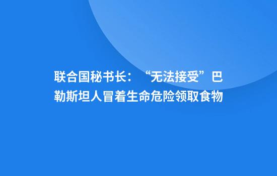 联合国秘书长：“无法接受”巴勒斯坦人冒着生命危险领取食物