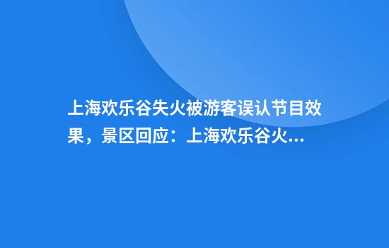 上海欢乐谷失火被游客误认节目效果，景区回应：上海欢乐谷火灾无伤亡