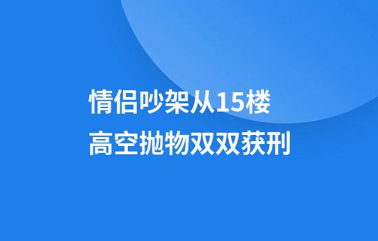 情侣吵架从15楼高空抛物双双获刑